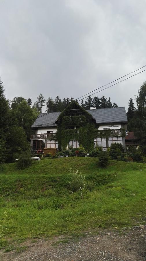 Willa Pod Dobrym Humorem Wölfelsgrund Exterior foto